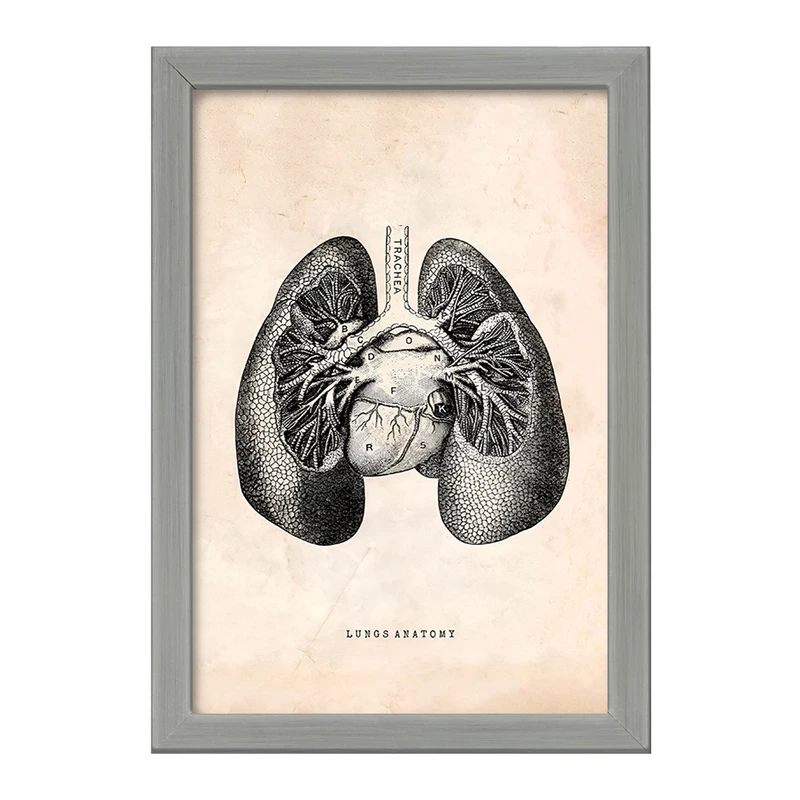 تابلو خندالو طرح آناتومی ریه ها (Lungs Anatomy) کد F13949