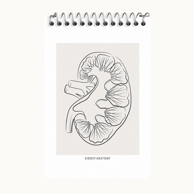 دفتر یادداشت 50 برگ خندالو طرح آناتومی کلیه (kidney Anatomy) کد F13903