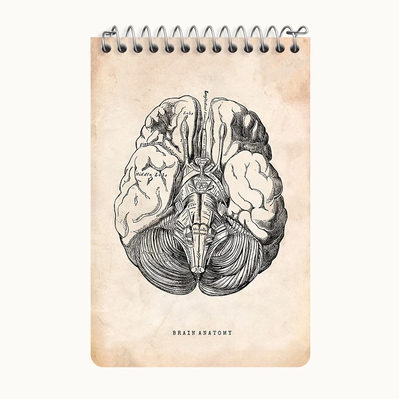 دفتر یادداشت 50 برگ خندالو طرح آناتومی مغز (Brain Anatomy) کد F13945