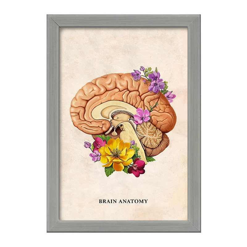 تابلو خندالو طرح آناتومی مغز (Brain Anatomy) کد F14028