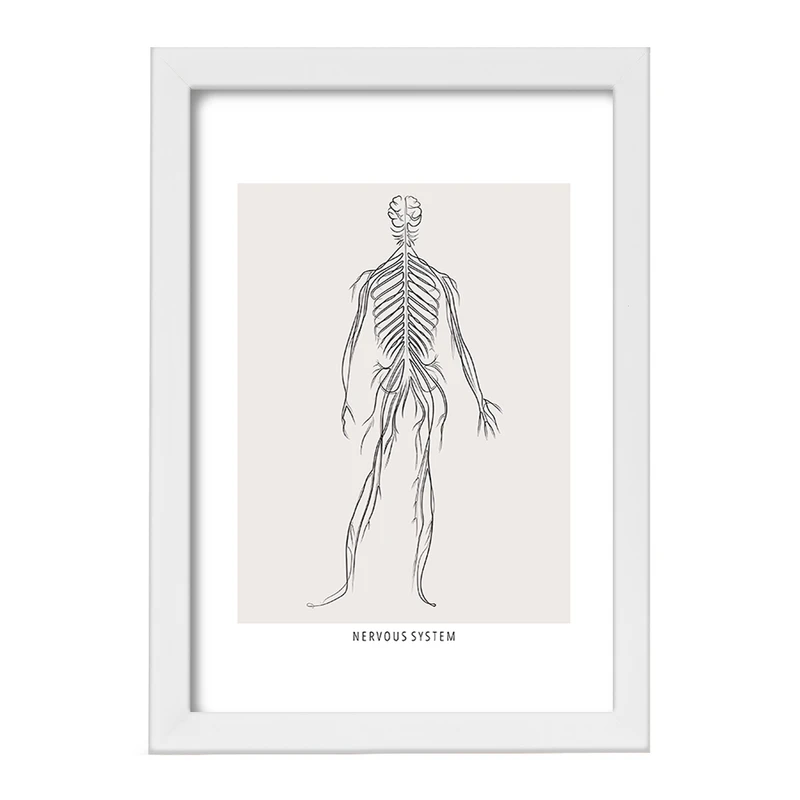 تابلو خندالو طرح سیستم عصبی (Nervous System) کد F13922
