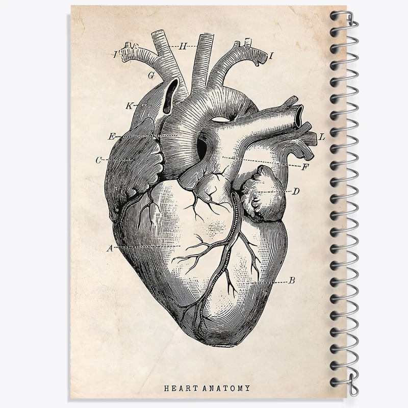 دفتر نقاشی 50 برگ خندالو طرح آناتومی قلب (Heart Anatomy) کد F13940