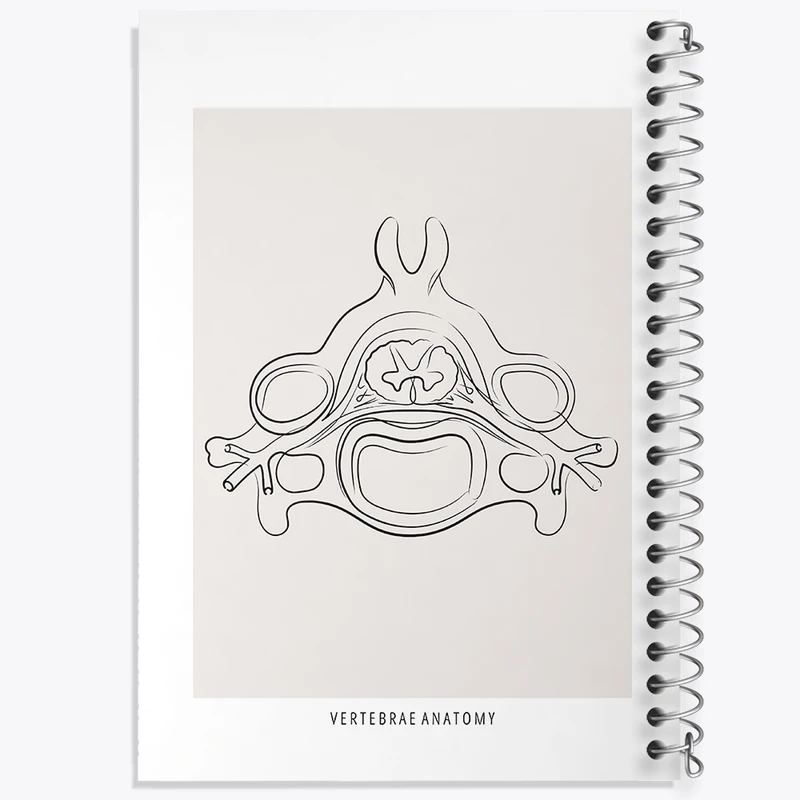دفتر مشق 100 برگ خندالو طرح آناتومی مهره ها (Vertebrae Anatomy) کد F13905