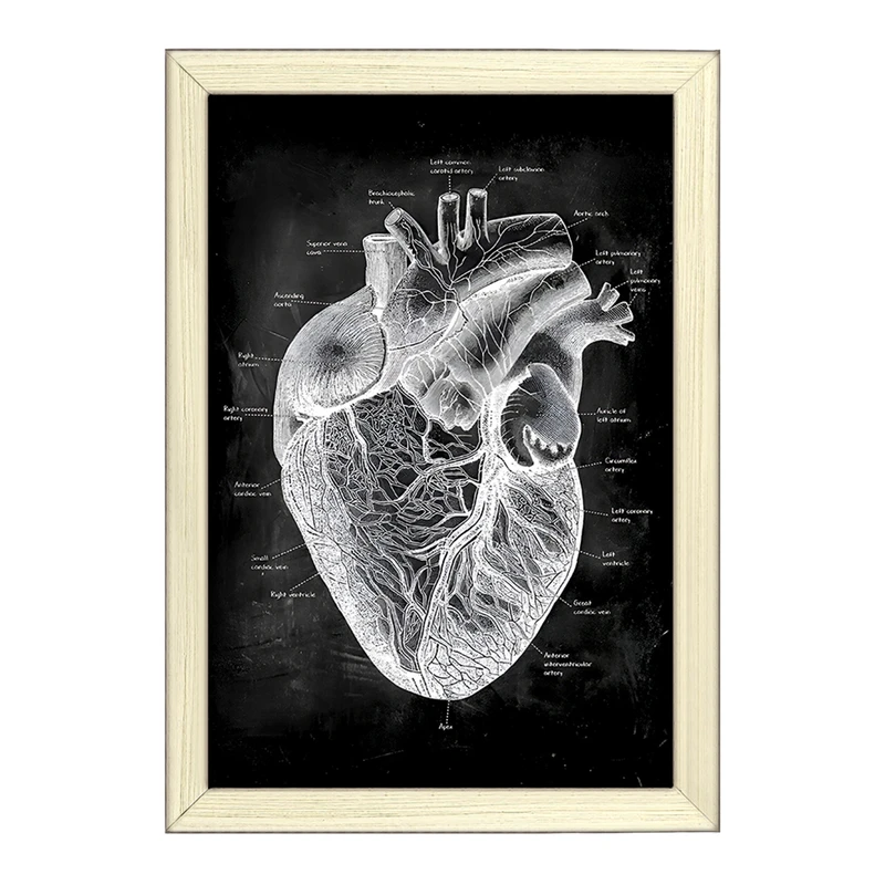 تابلو خندالو طرح آناتومی قلب (Heart Anatomy) کد F13956