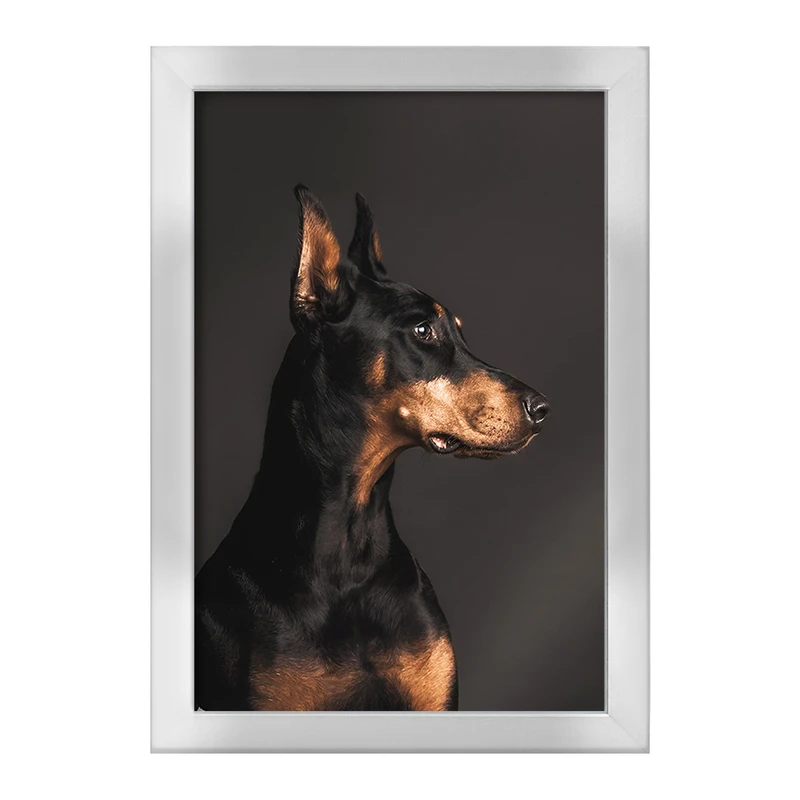 تابلو خندالو طرح سگ دوبرمن (Dobermann) کد F13637