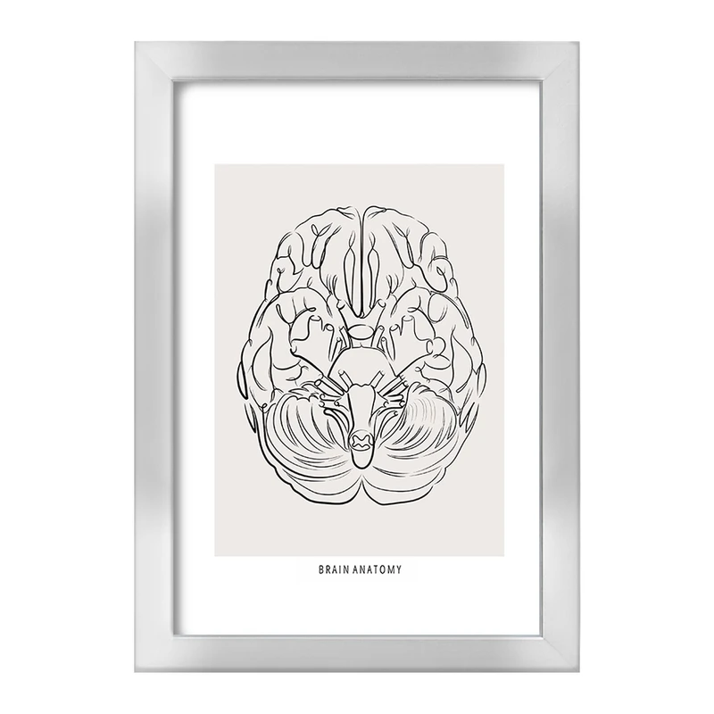 تابلو خندالو طرح آناتومی مغز (Brain Anatomy) کد F13890