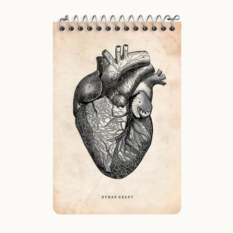 دفتر یادداشت 50 برگ خندالو طرح آناتومی قلب (Heart Anatomy) کد F13941