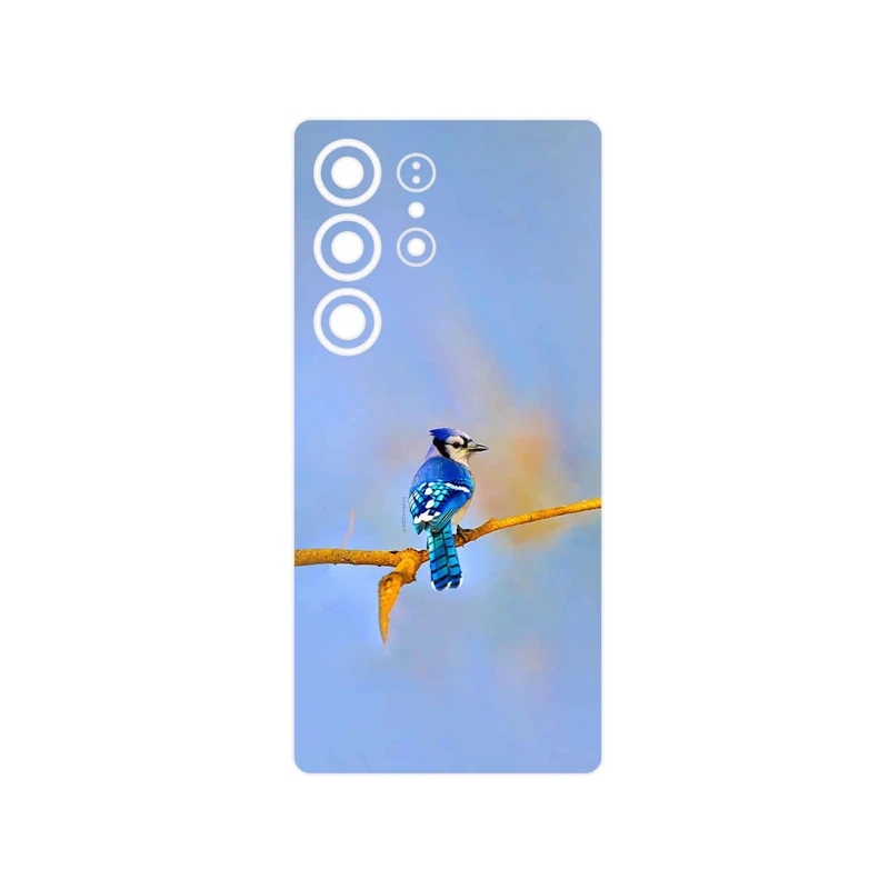 برچسب پوششی ماهوت مدل Cyanocitta cristata مناسب برای گوشی موبایل سامسونگ Galaxy S25 Ultra