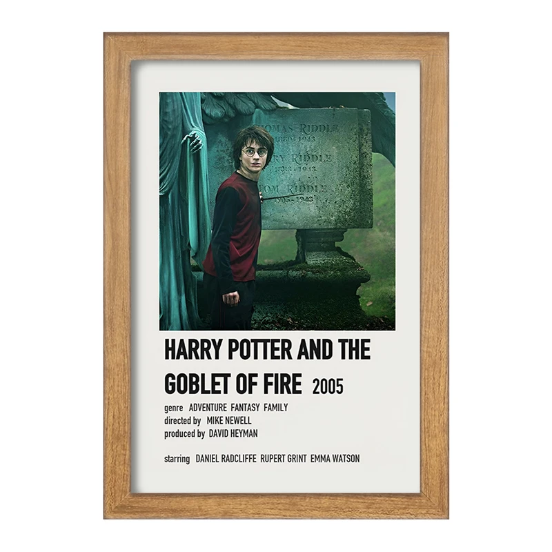 تابلو خندالو طرح هری پاتر (Harry Potter) کد F13405