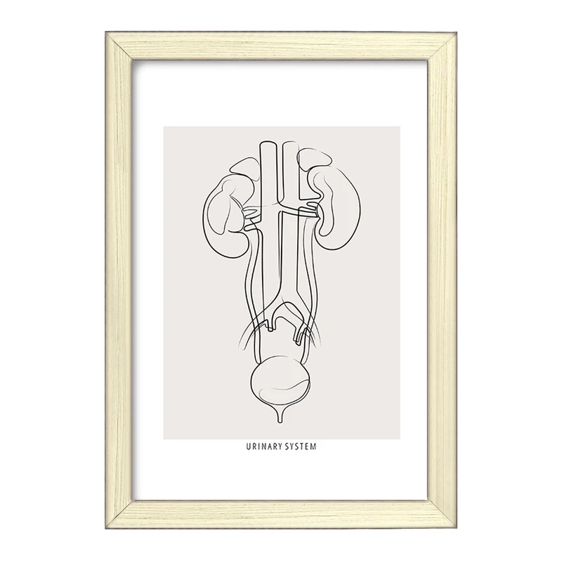 تابلو خندالو طرح سیستم ادراری (Urinary System) کد F13934