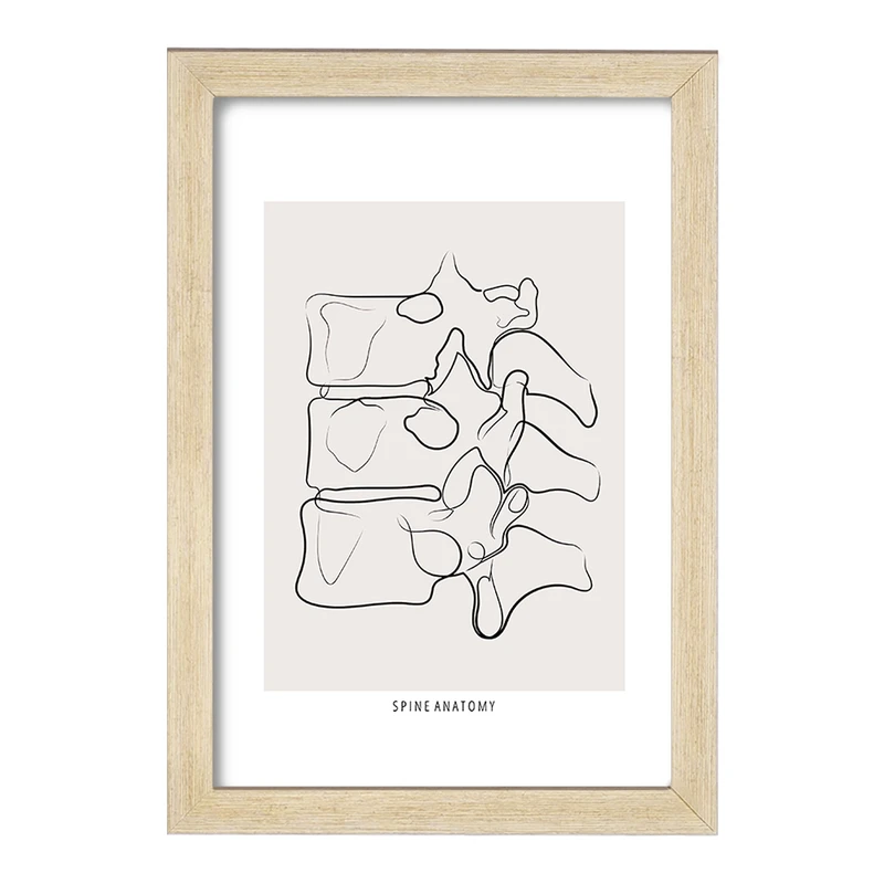 تابلو خندالو طرح آناتومی ستون فقرات (Spine Anatomy) کد F13910