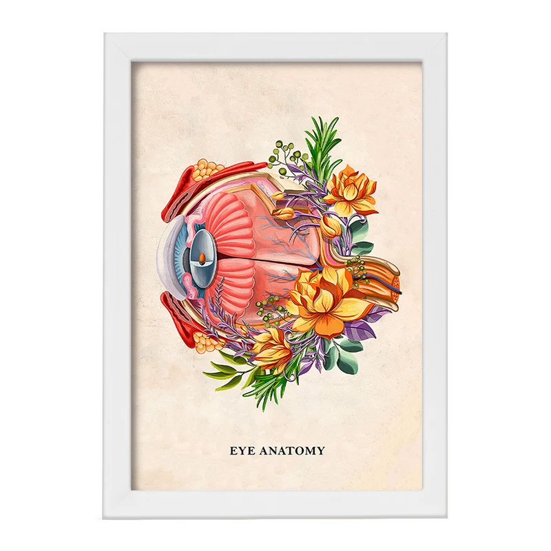تابلو خندالو طرح آناتومی چشم (Eye Anatomy) کد F14014