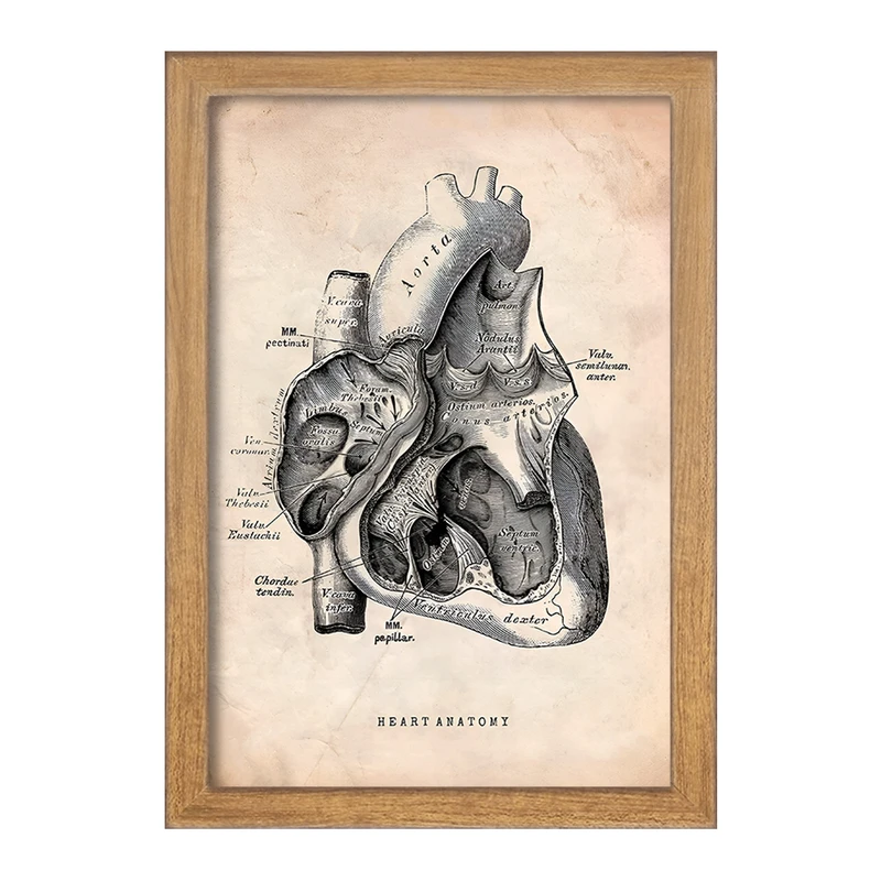 تابلو خندالو طرح آناتومی قلب (Heart Anatomy) کد F13943