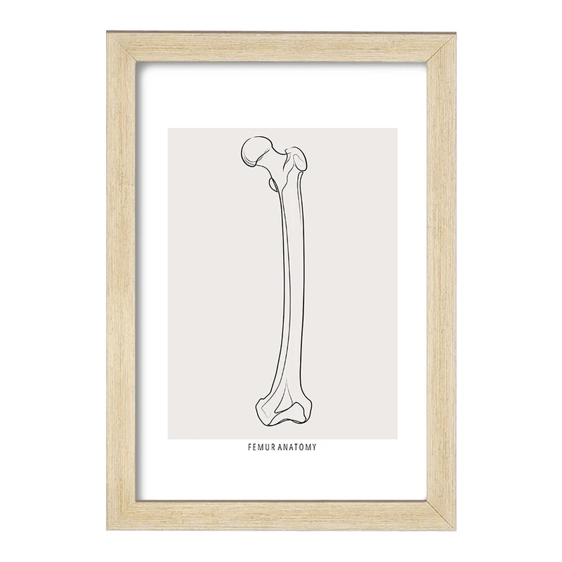 تابلو خندالو طرح آناتومی استخوان ران (Femur Anatomy) کد F13917