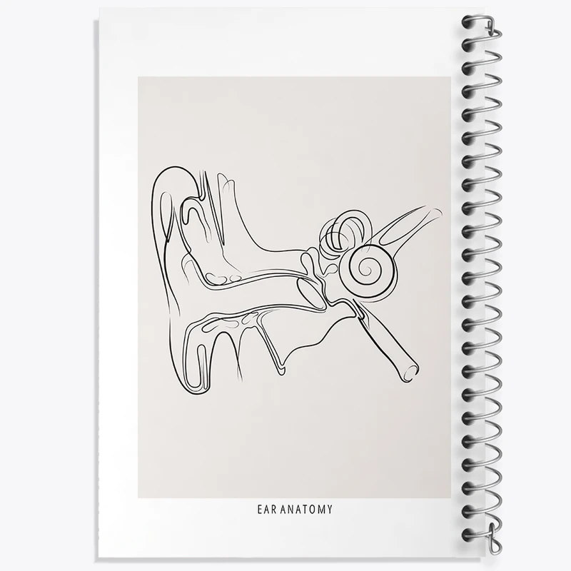 دفتر شطرنجی 50 برگ خندالو طرح آناتومی گوش (Ear Anatomy) کد F13932