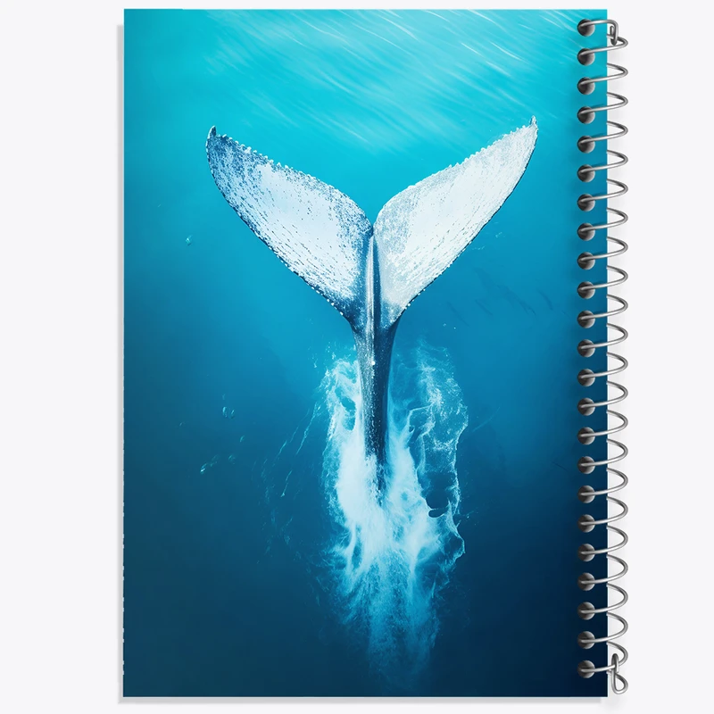 دفتر نقاشی 50 برگ خندالو طرح وال و نهنگ کد F3690