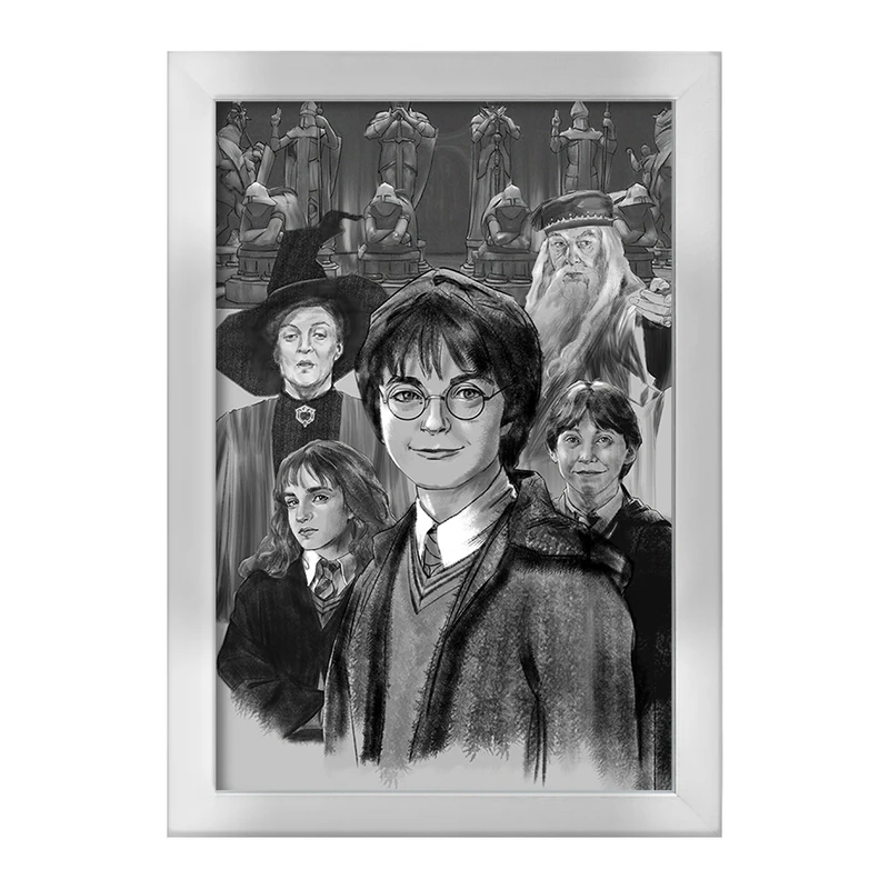 تابلو خندالو طرح هری پاتر (Harry Potter) کد F869