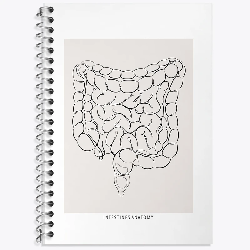دفتر لغت 50 برگ خندالو طرح آناتومی روده (Intestines Anatomy) کد F13933