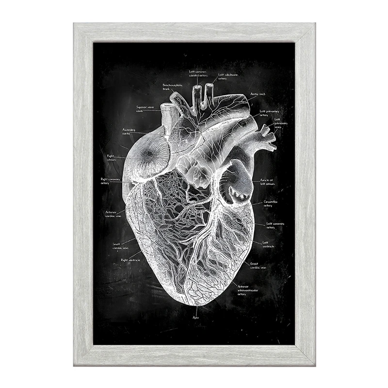 تابلو خندالو طرح آناتومی قلب (Heart Anatomy) کد F13956