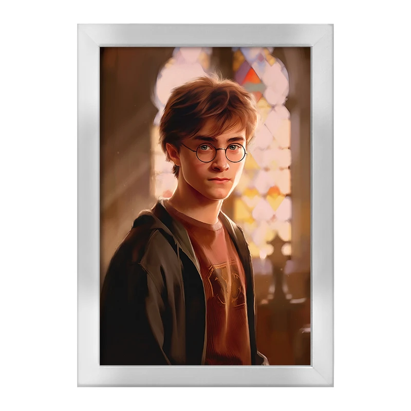 تابلو خندالو طرح هری پاتر (Harry Potter) کد F851