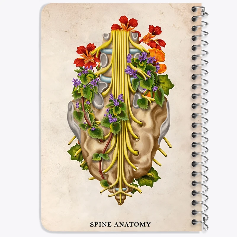 دفتر یادداشت 50 برگ خندالو طرح آناتومی ستون فقرات (Spine Anatomy) کد F13983