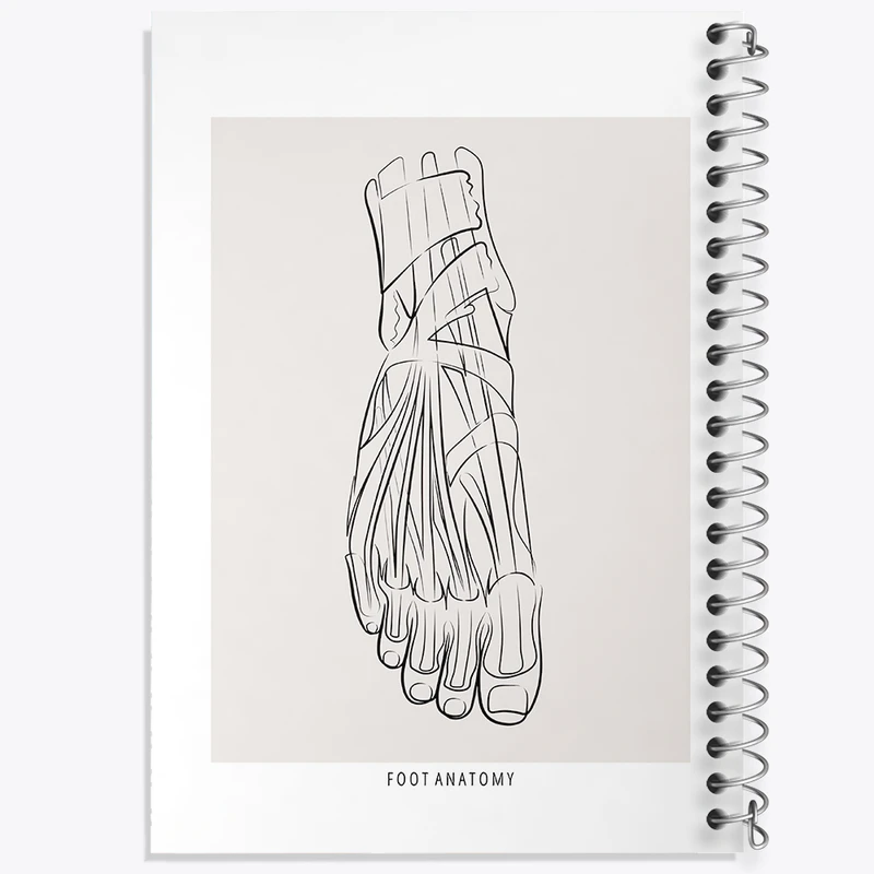 دفتر مشق 100 برگ خندالو طرح آناتومی پا کد F13924