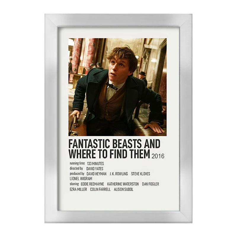 تابلو خندالو طرح Fantastic Beasts and Where to Find Them کد F13291