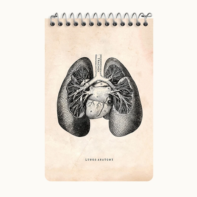 دفتر یادداشت 50 برگ خندالو طرح آناتومی ریه ها (Lungs Anatomy) کد F13949