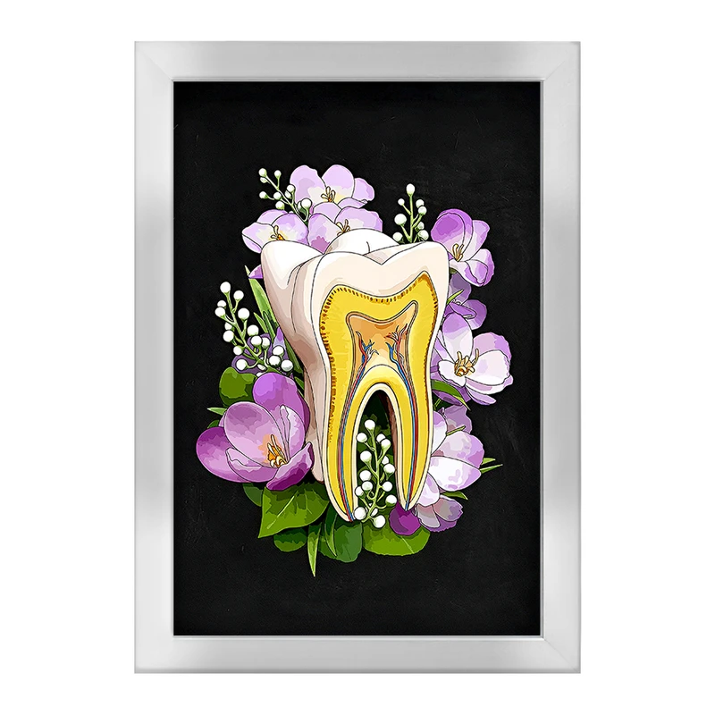 تابلو خندالو طرح آناتومی دندان (Tooth Anatomy) کد F14047