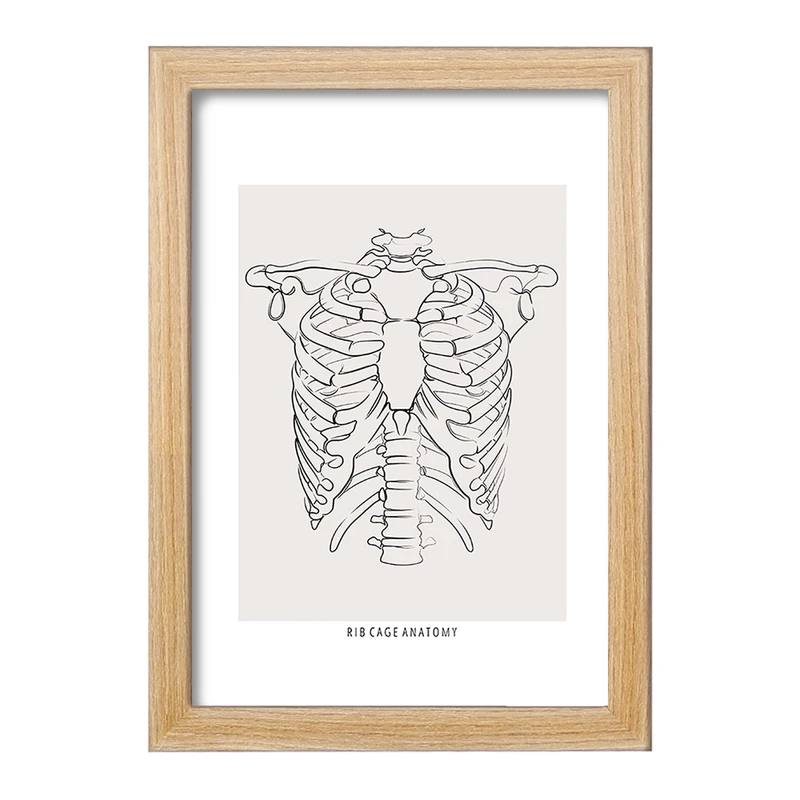 تابلو خندالو طرح آناتومی قفسه سینه (Rib Cage Anatomy) کد F13920