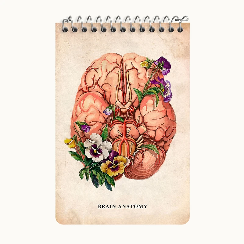 دفتر یادداشت 50 برگ خندالو طرح آناتومی مغز (Brain Anatomy) کد F13976