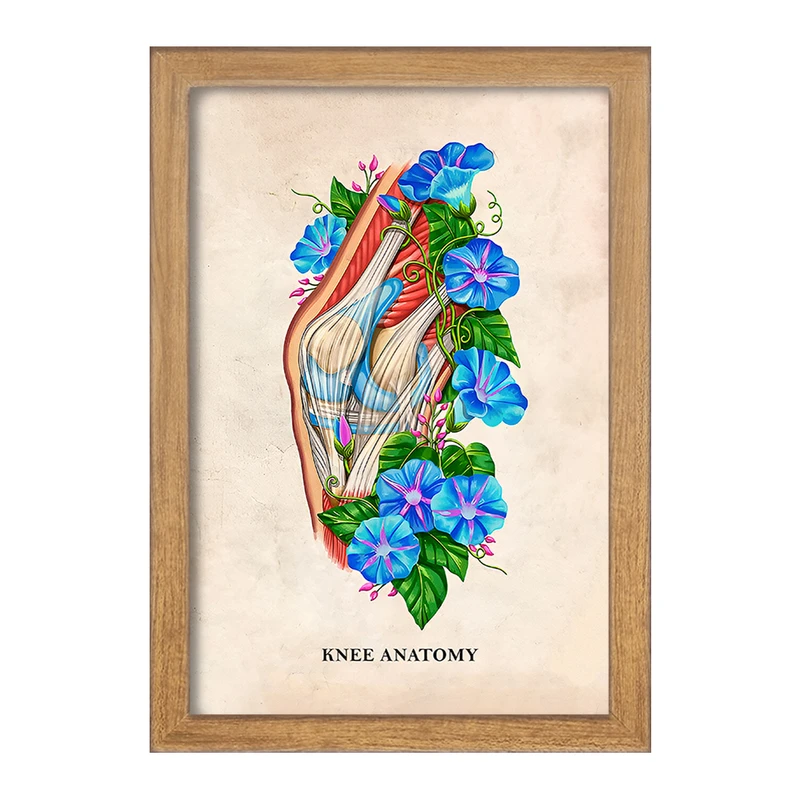 تابلو خندالو طرح آناتومی زانو (Knee Anatomy) کد F13998