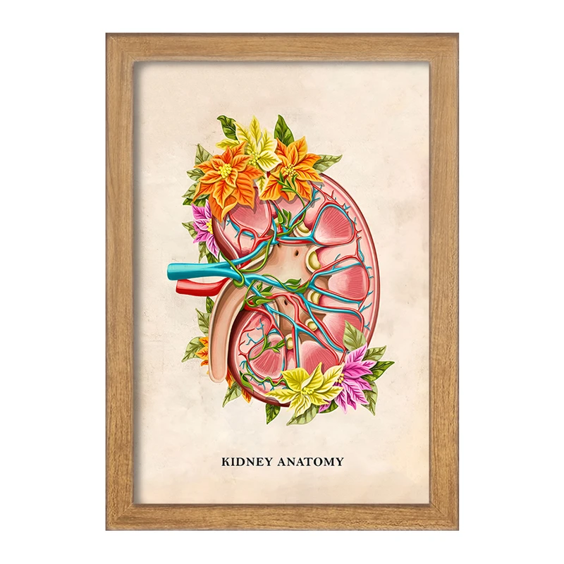 تابلو خندالو طرح آناتومی کلیه (kidney Anatomy) کد F14005