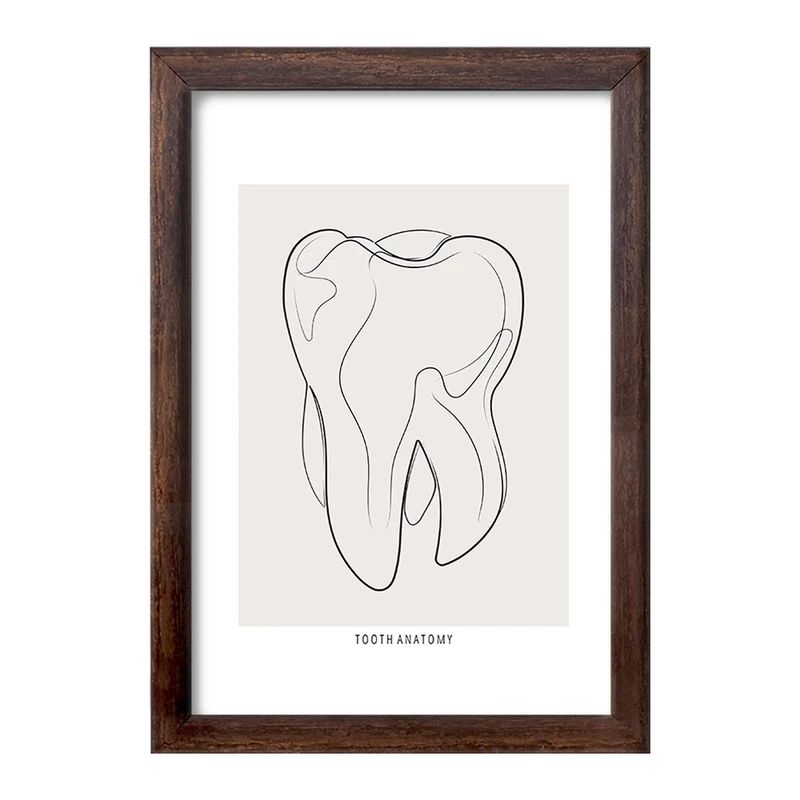 تابلو خندالو طرح آناتومی دندان (Tooth Anatomy) کد F13936