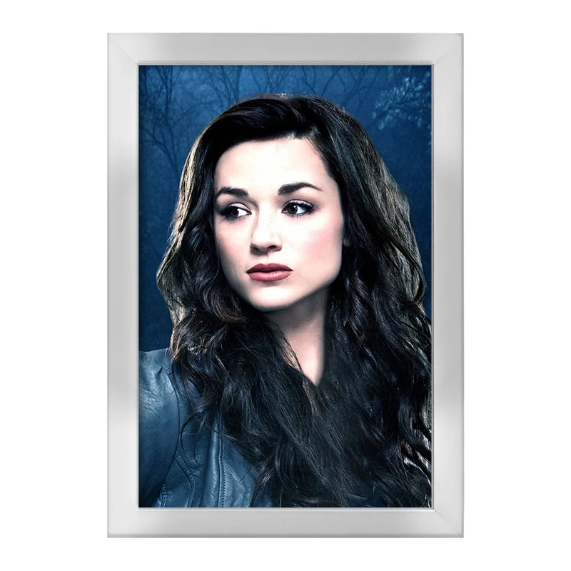 تابلو خندالو طرح آلیسون سریال تین ولف Teen Wolf کد 28455