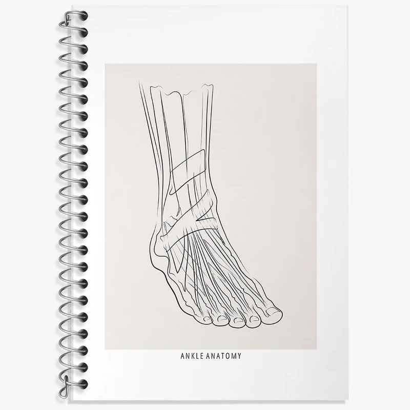 دفتر لغت 50 برگ خندالو طرح آناتومی مچ پا (Ankle Anatomy) کد F13926