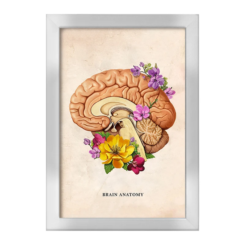 تابلو خندالو طرح آناتومی مغز (Brain Anatomy) کد F13970
