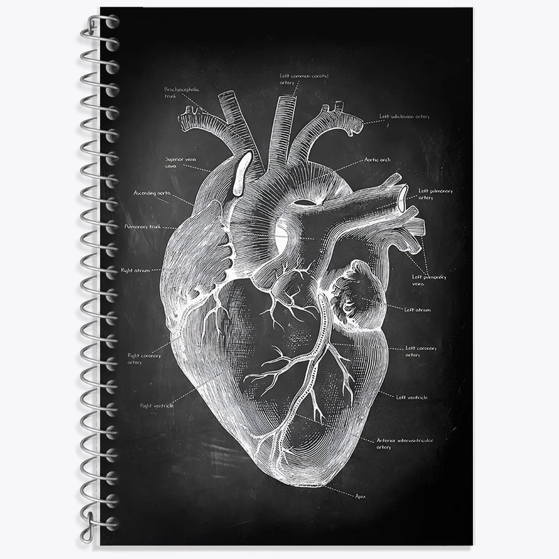 دفتر لغت 50 برگ خندالو طرح آناتومی قلب (Heart Anatomy) کد F13957
