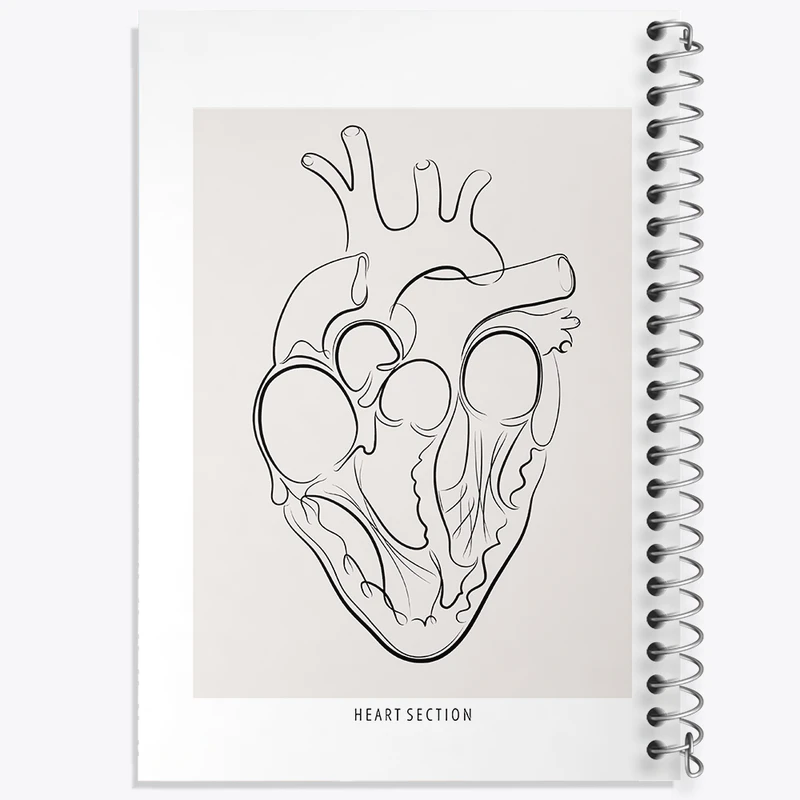 دفتر مشق 50 برگ خندالو طرح آناتومی قلب (Heart Anatomy) کد F13897