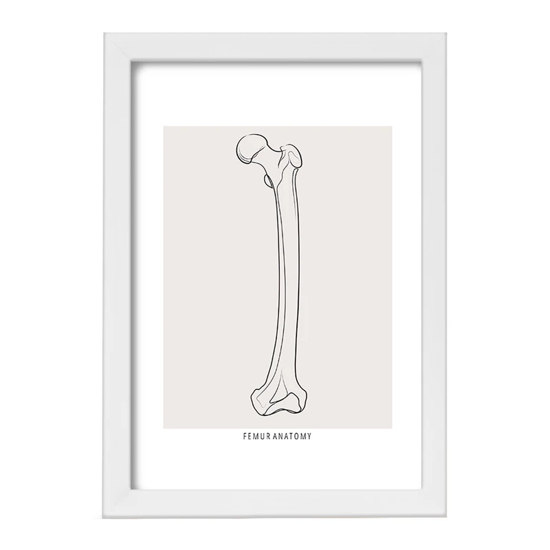 تابلو خندالو طرح آناتومی استخوان ران (Femur Anatomy) کد F13917