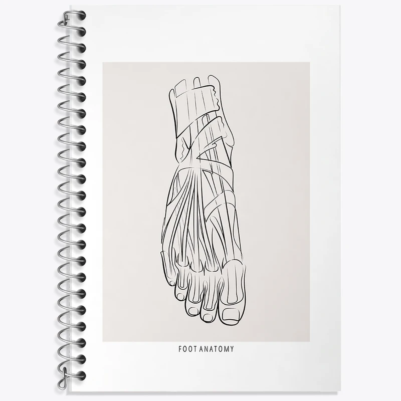 دفتر لغت 50 برگ خندالو طرح آناتومی پا (Foot Anatomy) کد F13924