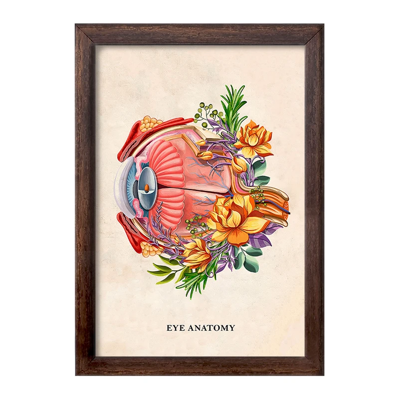 تابلو خندالو طرح آناتومی چشم (Eye Anatomy) کد F14014