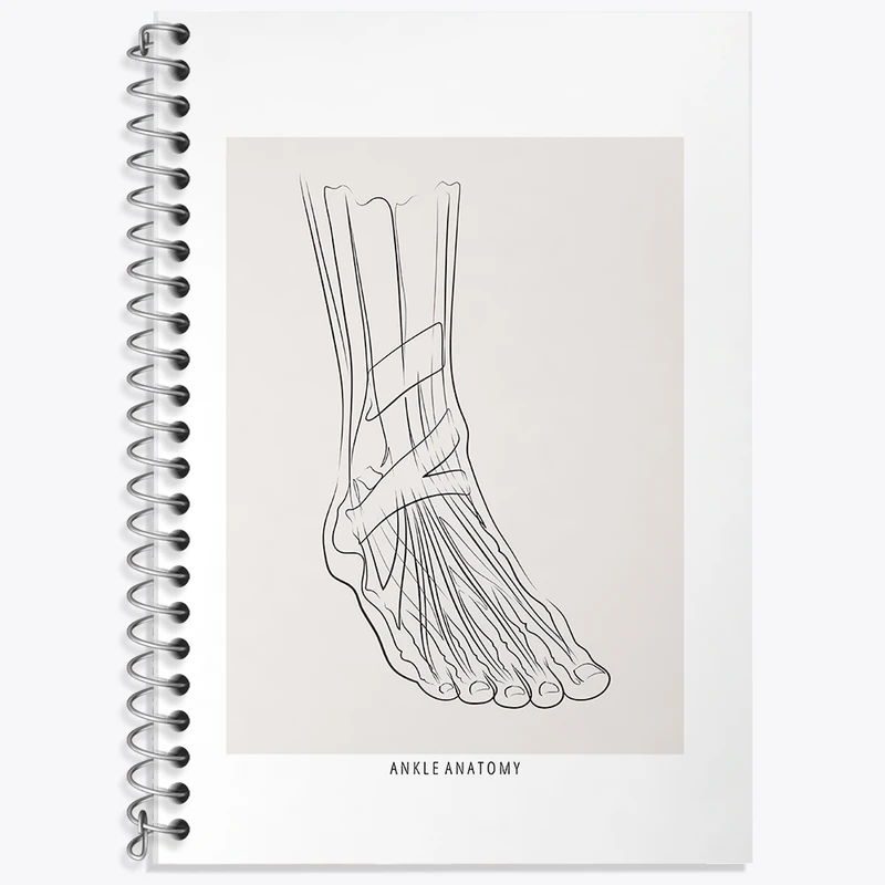 دفتر زبان 50 برگ خندالو مدل دو خط طرح آناتومی مچ پا (Ankle Anatomy) کد F13926