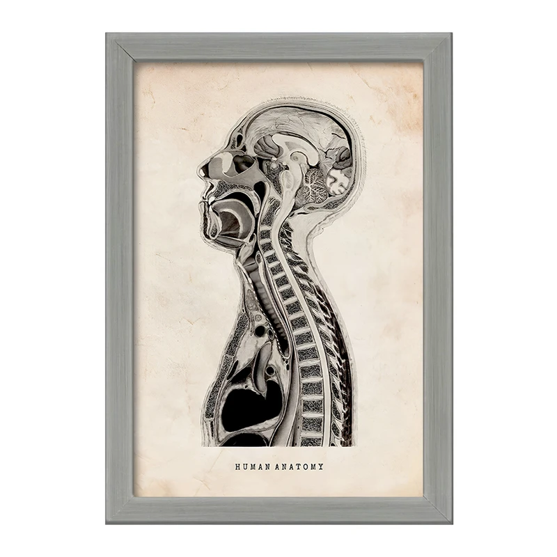 تابلو خندالو طرح آناتومی انسان (Human Anatomy) کد F13948