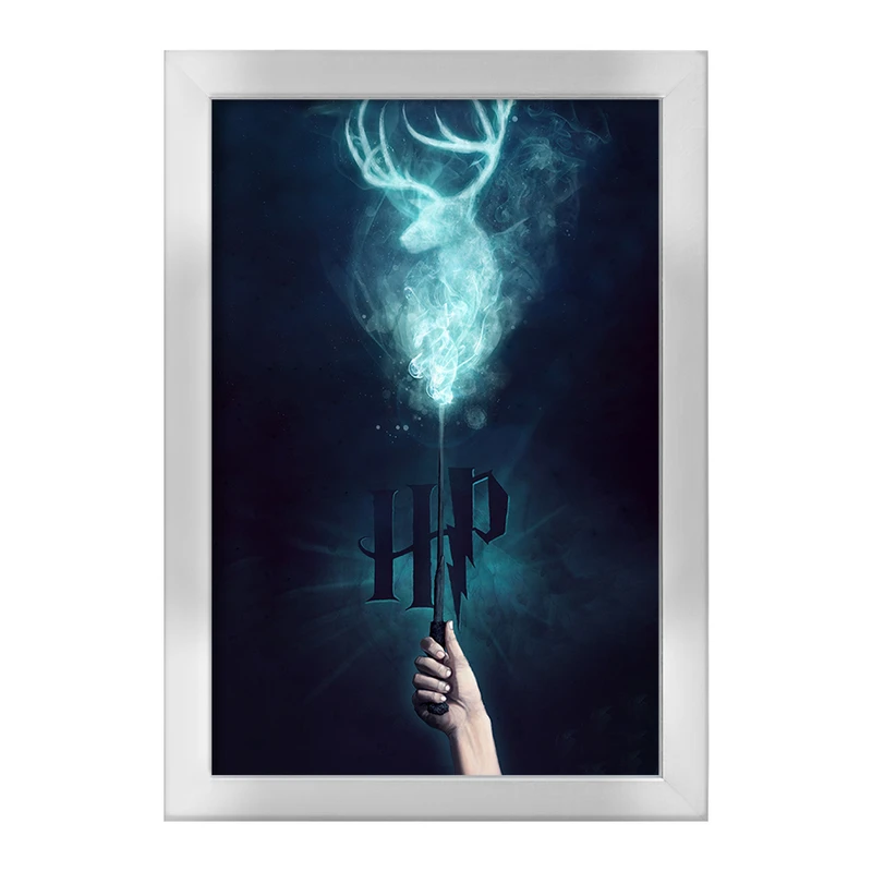 تابلو خندالو طرح هری پاتر (Harry Potter) کد F863