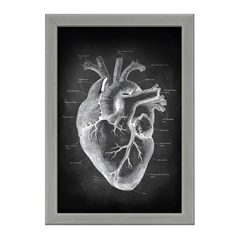تابلو خندالو طرح آناتومی قلب (Heart Anatomy) کد F13957