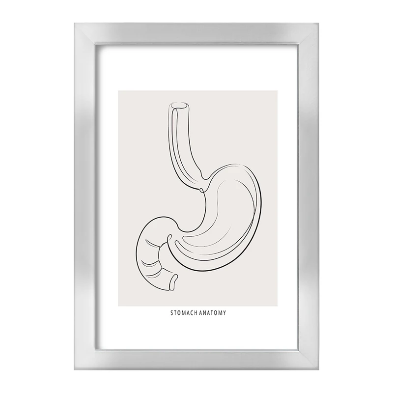 تابلو خندالو طرح آناتومی معده (Stomach Anatomy) کد F13904