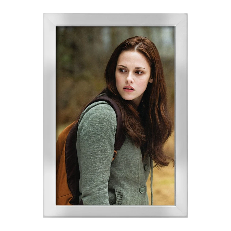 تابلو خندالو طرح بلا سوان گرگ و میش  Twilight  کد 10862