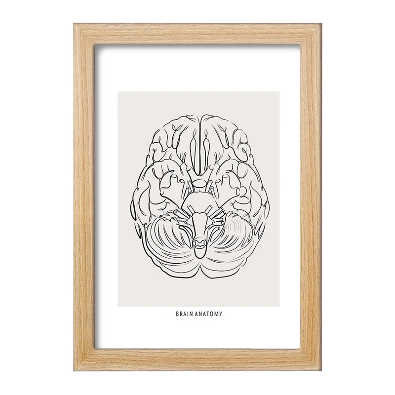 تابلو خندالو طرح آناتومی مغز (Brain Anatomy) کد F13890