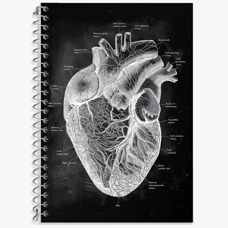 دفتر نت موسیقی 50 برگ خندالو طرح آناتومی قلب (Heart Anatomy) کد F13956